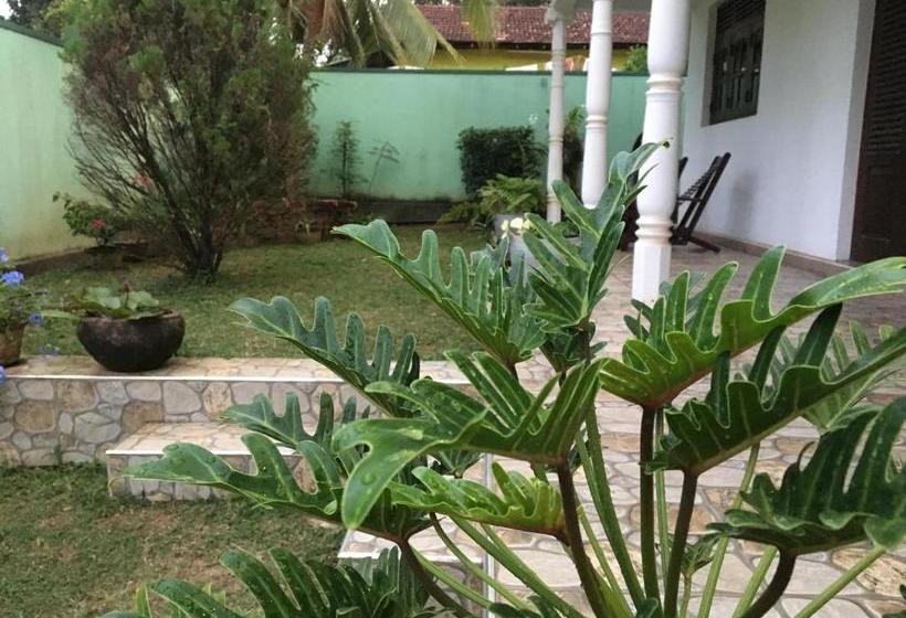 膳宿费 Travel Bird Villa   Foreign Bookings Only