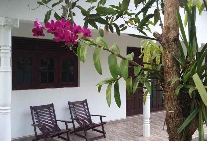 膳宿费 Travel Bird Villa   Foreign Bookings Only