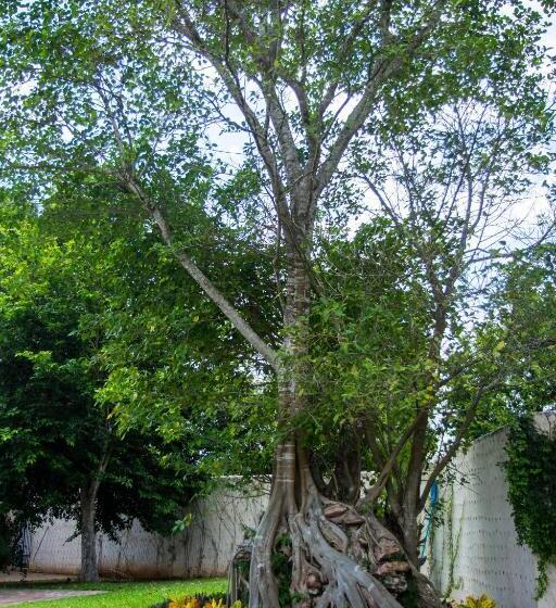 פנסיון Villa San Antonio De Padua