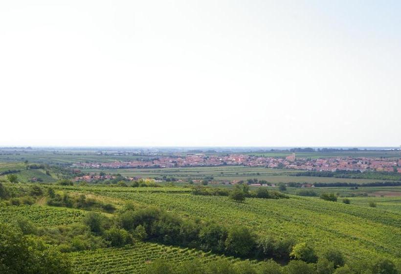 بنسيون Vinařský Penzion Přední Hora