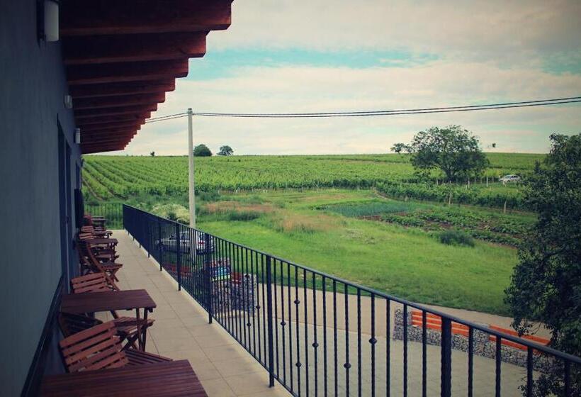 بنسيون Vinařský Penzion Přední Hora