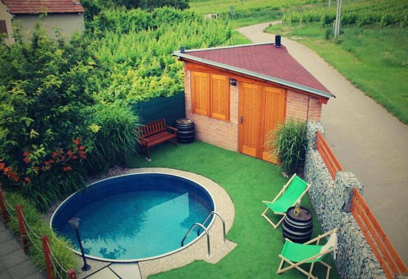 بنسيون Vinařský Penzion Přední Hora