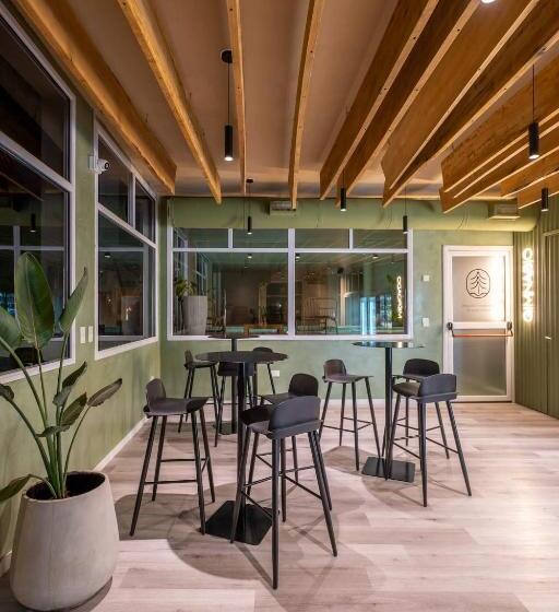 Suite House Carilo