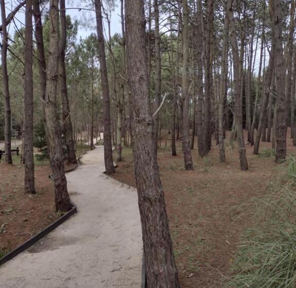 هاستل Dandy Suites