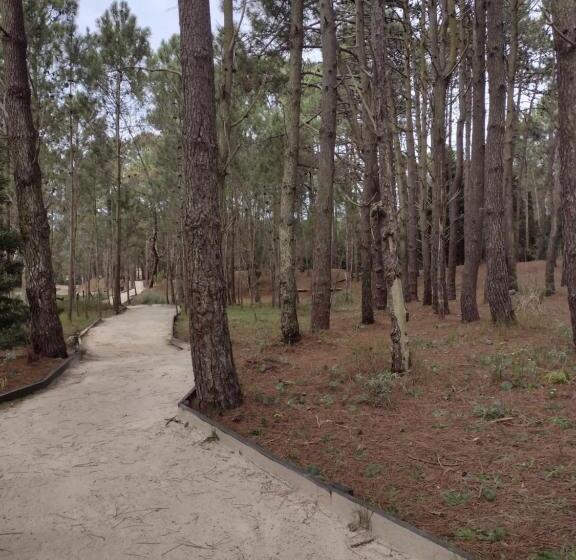 فندق صغير Dandy Suites