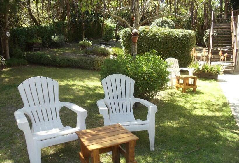 هاستل Dandy Suites