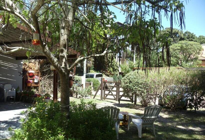 فندق صغير Dandy Suites