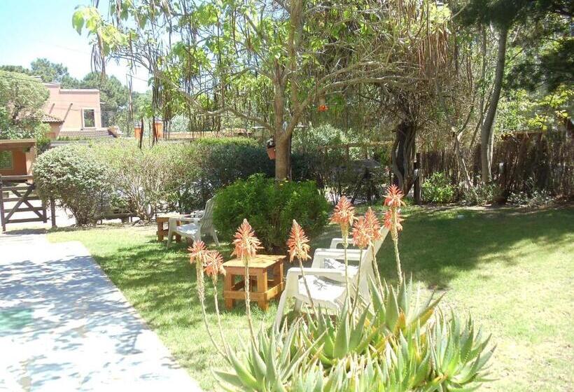 فندق صغير Dandy Suites