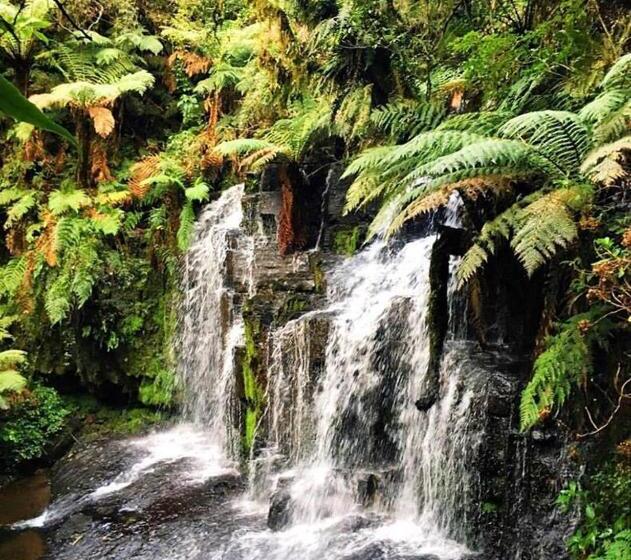 旅馆 Parador Hampel