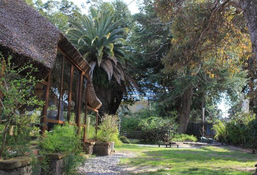 فندق صغير Santoral Restaurante Y Posada Pet Friendly