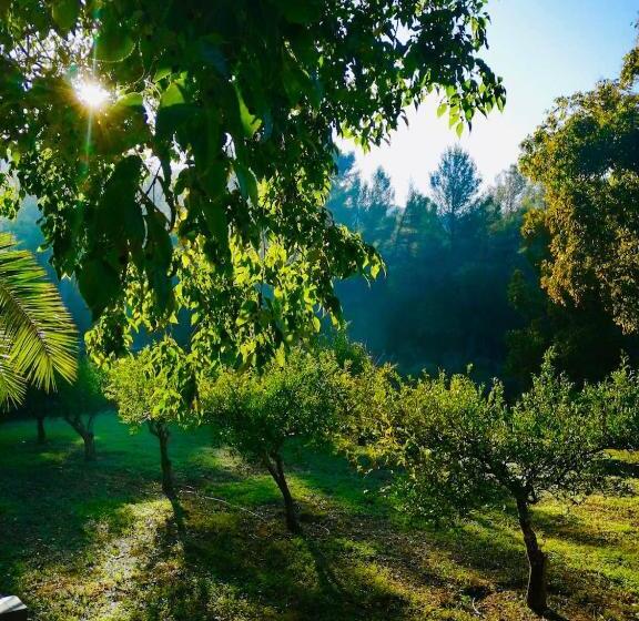 酒店 Agroturismo Son Boronat