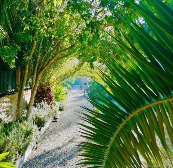 酒店 Agroturismo Son Boronat