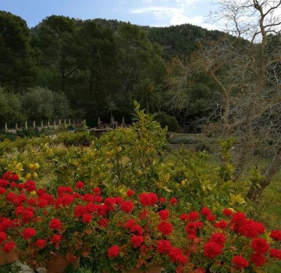 酒店 Agroturismo Son Boronat