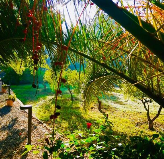 酒店 Agroturismo Son Boronat