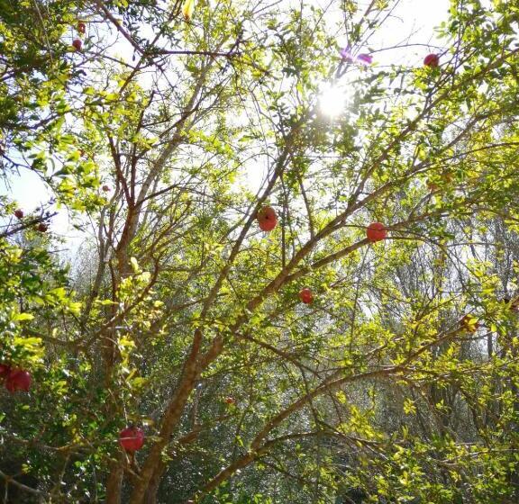 酒店 Agroturismo Son Boronat