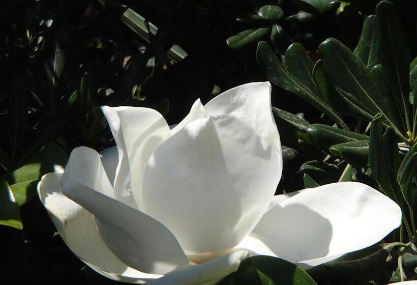 호텔 Hôtel Sole E Mare