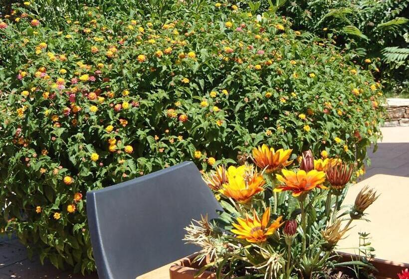 호텔 Hôtel Sole E Mare