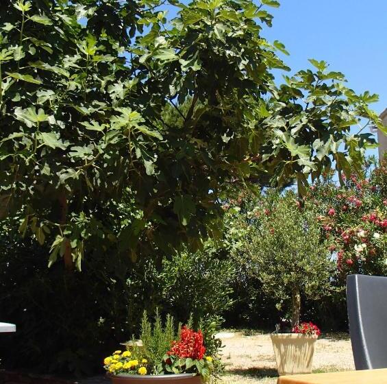 호텔 Hôtel Sole E Mare