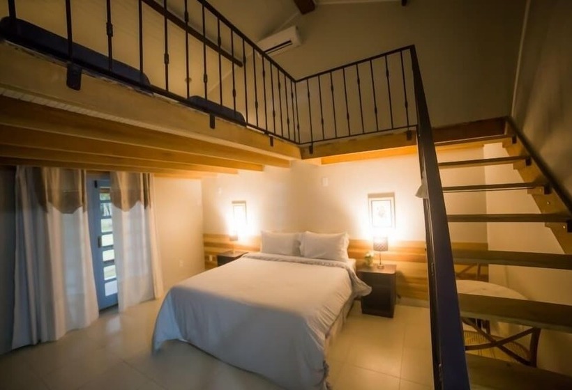 بنسيون Bosque Da Neblina