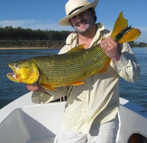 膳宿费 Cabañas Los Troncos