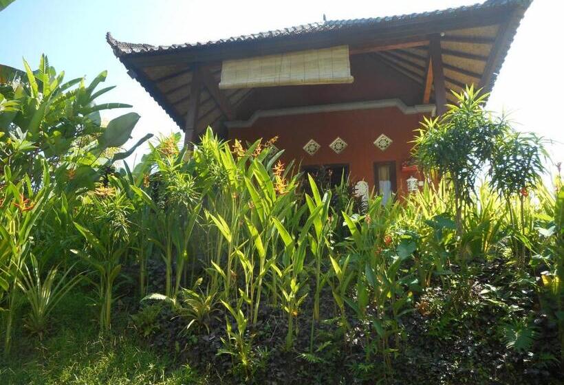 פנסיון Cegeng Lestari Guest House