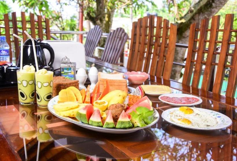 Пансион Channa Villa & Tours