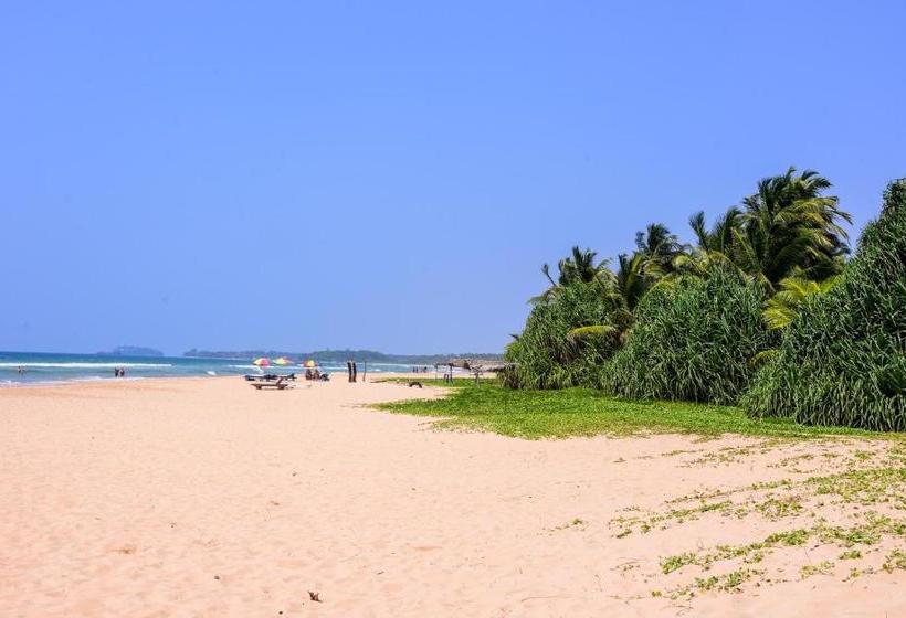 Пансион Channa Villa & Tours