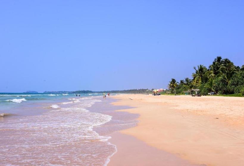 Пансион Channa Villa & Tours