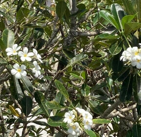 Пансион Channa Villa & Tours