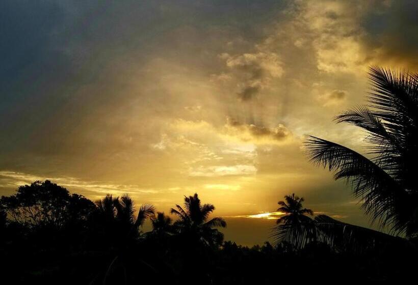 ペンション Disna Place