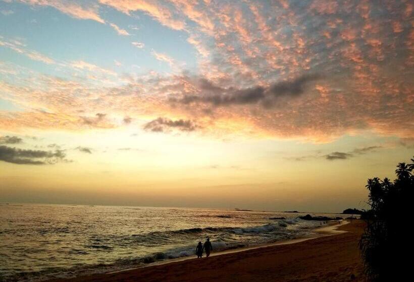 ペンション Disna Place