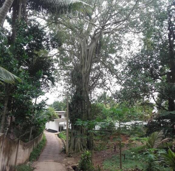 ペンション Disna Place