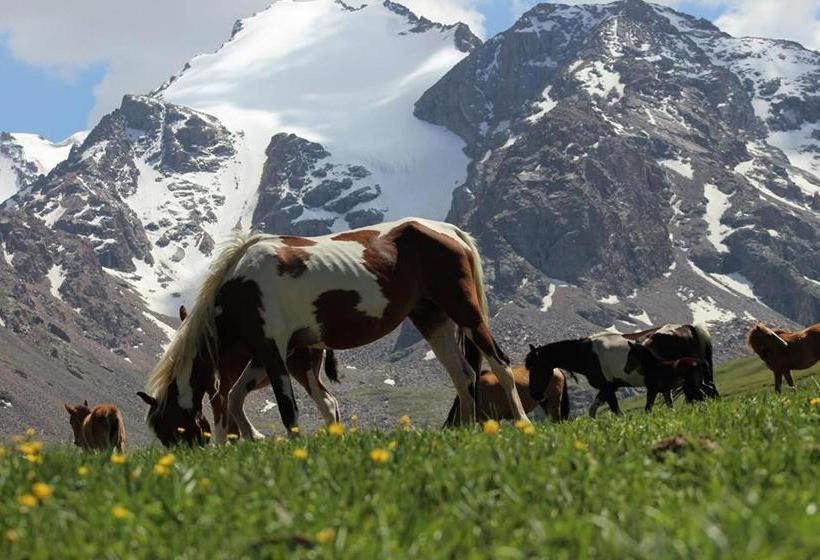 پانسیون Guest House Nur