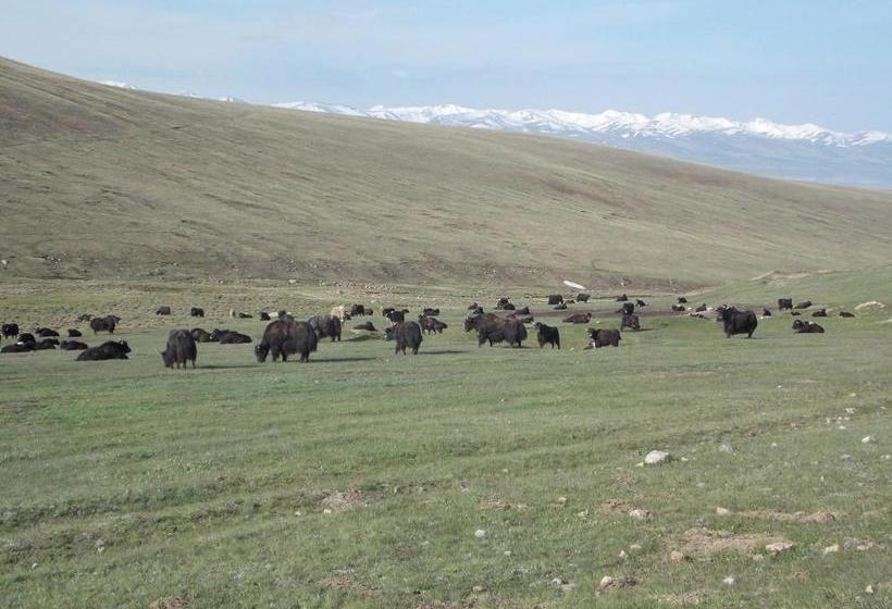 پانسیون Guest House Nur