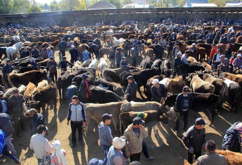 پانسیون Guest House Nur