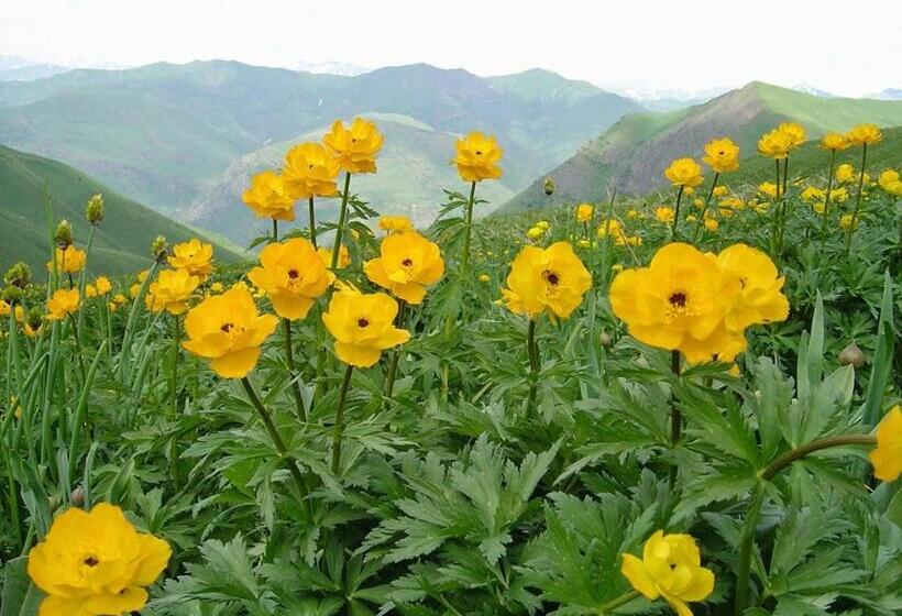 پانسیون Guest House Nur