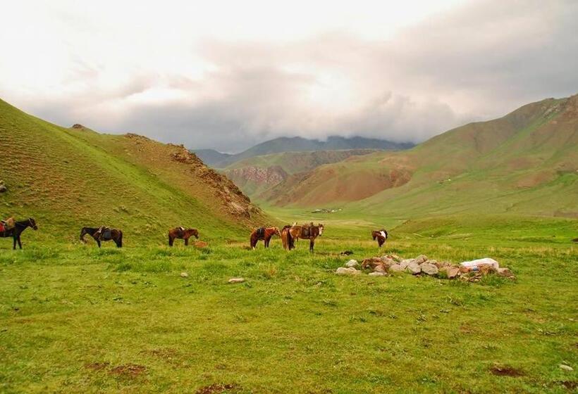 پانسیون Guest House Nur