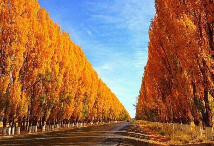 پانسیون Guest House Nur