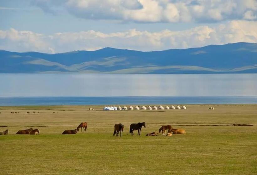 پانسیون Guest House Nur