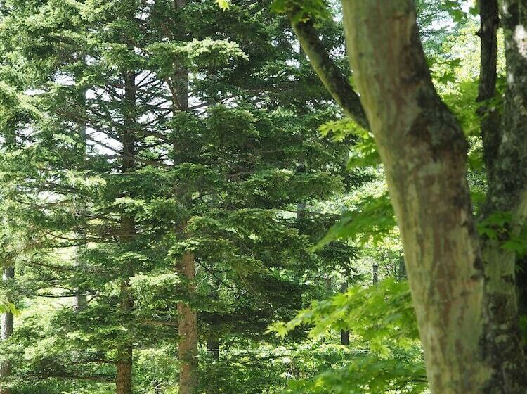 פנסיון Koya Backpackers