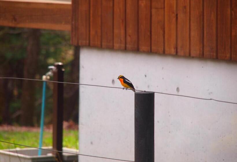 פנסיון Koya Backpackers