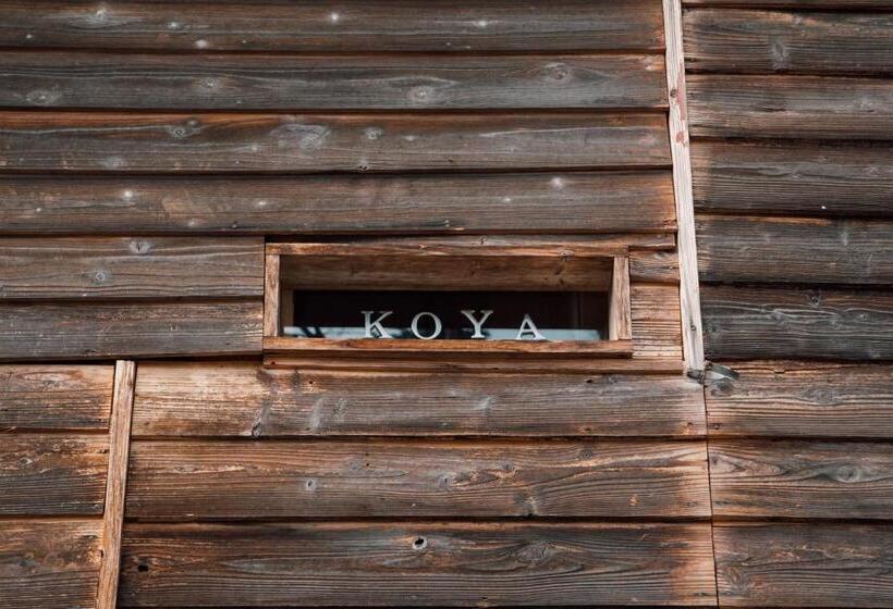 פנסיון Koya Backpackers