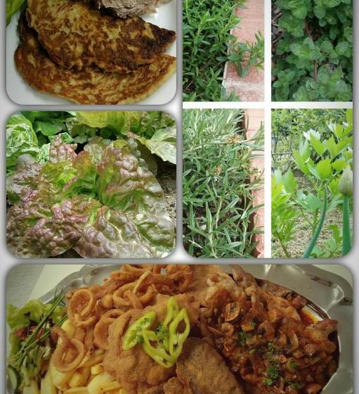 膳宿费 Madarász Vendégház