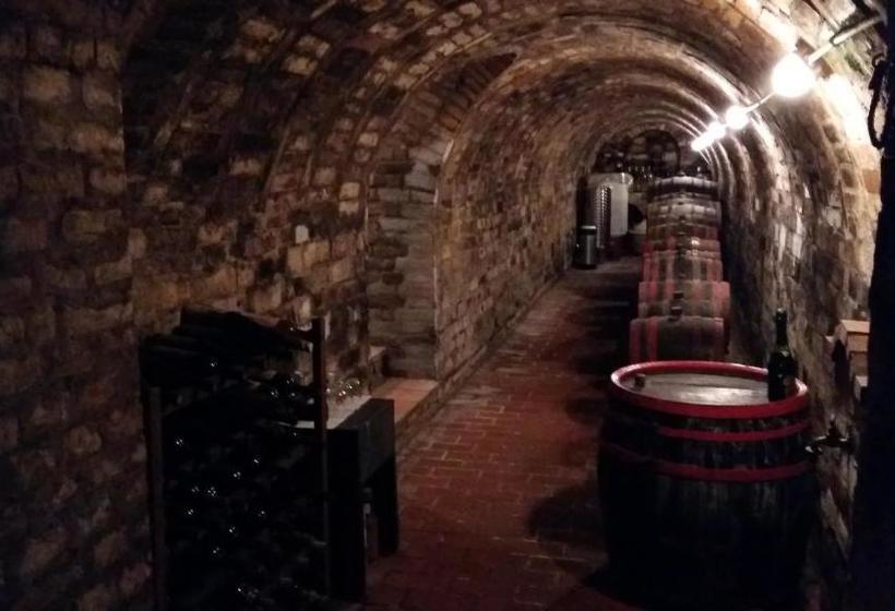 膳宿费 Madarász Vendégház