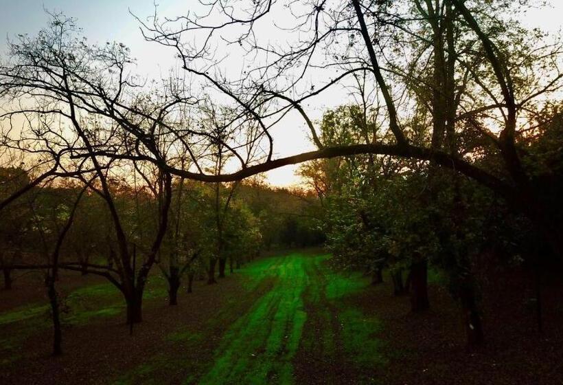 بنسيون Pecan Farm Guesthouse