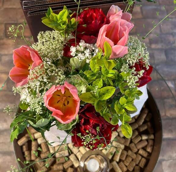 펜션 Restaurace & Penzion U Tří Jasanů