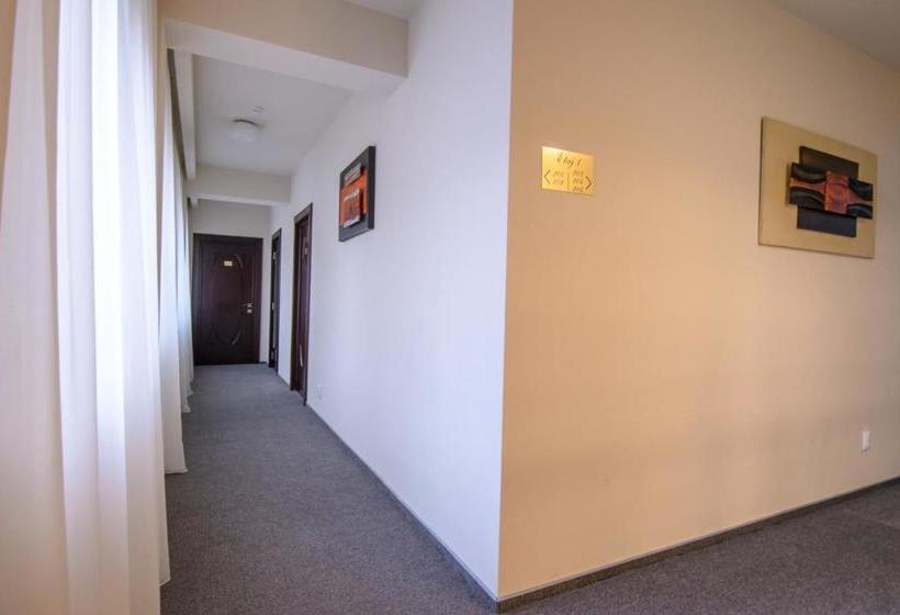 ペンション Pietrele Lui Solomon