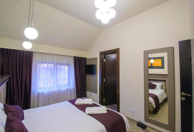 Пансион Pietrele Lui Solomon