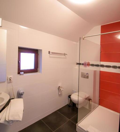 ペンション Pietrele Lui Solomon