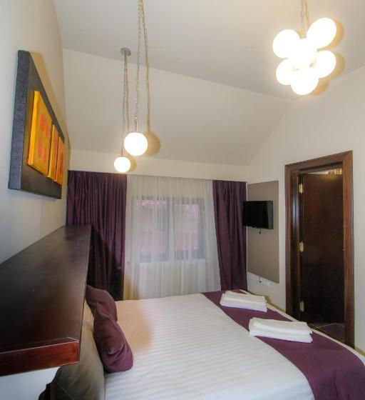 ペンション Pietrele Lui Solomon